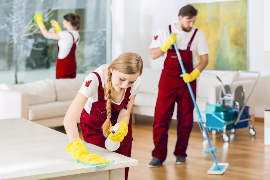 Why Carpet Cleaning Professionals Are the Solution