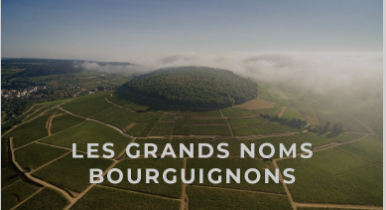 Vins de Bourgogne dans Dijon